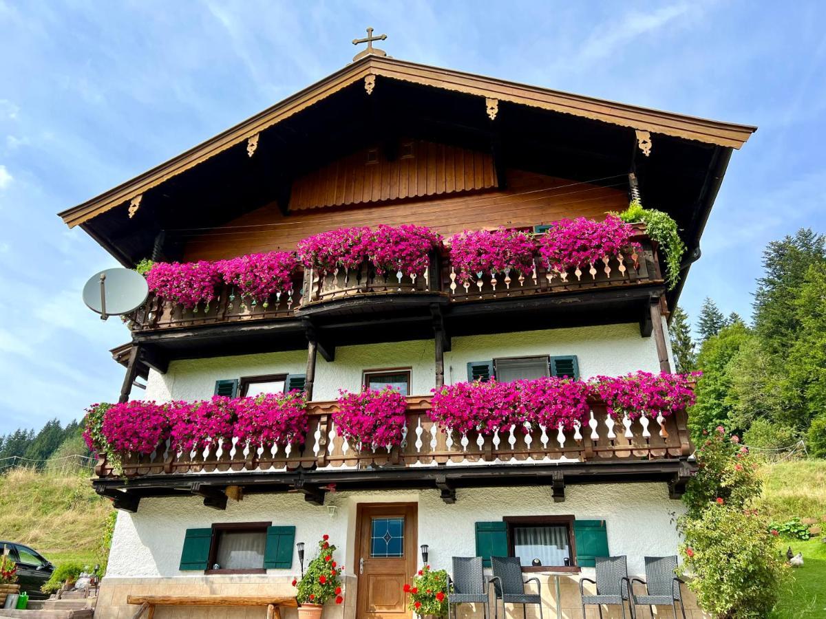 סנט יוהן אין טירול Appartement Sunnseit - Kitzbueheler Alpen מראה חיצוני תמונה